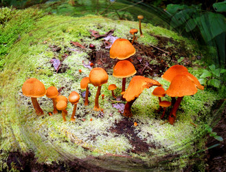 Similar image 272319