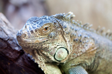 Similar image 272326