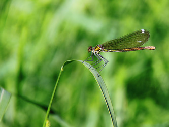 Similar image 272356