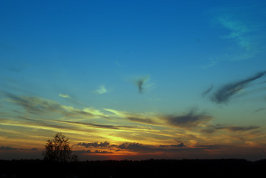 Similar image 272367