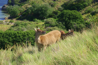 Similar image 272401