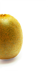 Similar image 272403