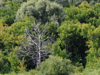 Similar image 272421