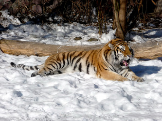 Similar image 272423