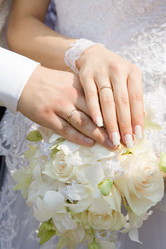 Similar image 272432