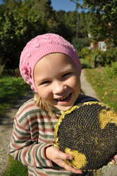 Similar image 272478