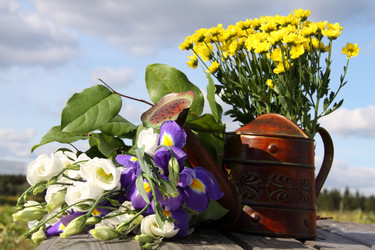 Similar image 272489