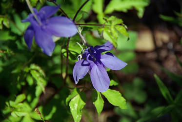 Similar image 272490