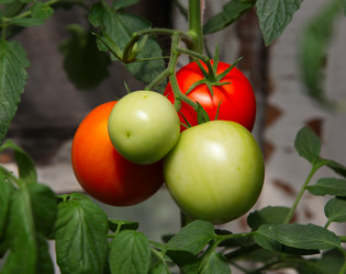 Similar image 272493