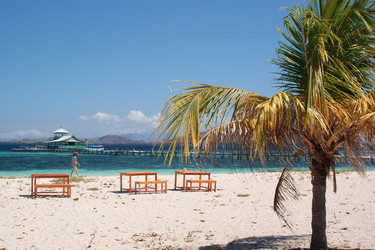 Similar image 272497