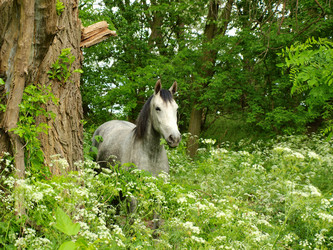 Similar image 272499