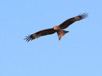 Similar image 272691