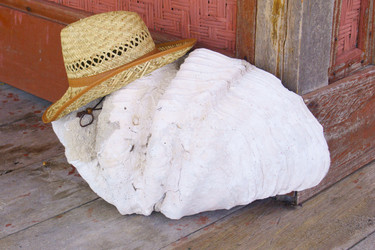 Similar image 272693