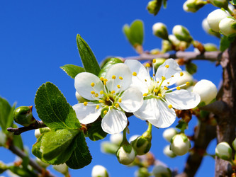 Similar image 272730