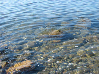 Similar image 272738