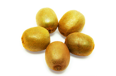 Similar image 272761