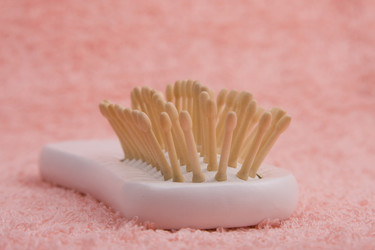 Similar image 272768