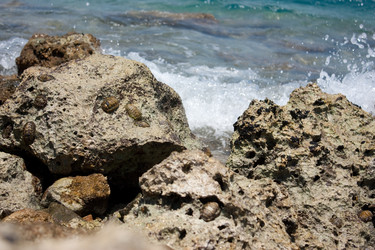 Similar image 272838