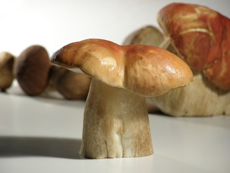 Similar image 272902