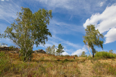 Similar image 272905