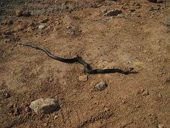 Similar image 272926