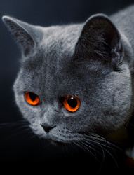 Similar image 272939