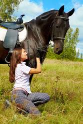 Similar image 272944