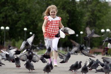 Similar image 273000