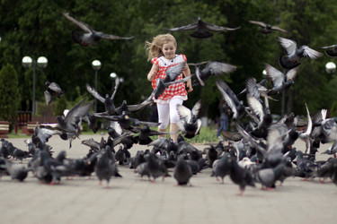 Similar image 273001