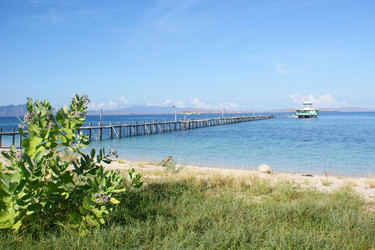 Similar image 273066