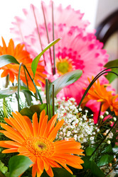 Similar image 273074