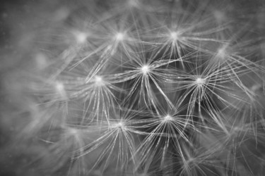 Similar image 273086