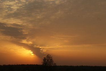 Similar image 273200