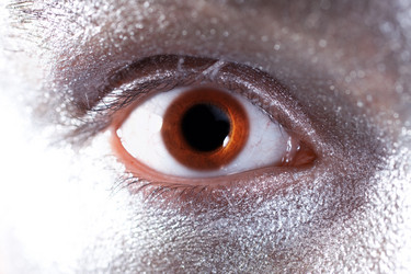 Similar image 273232