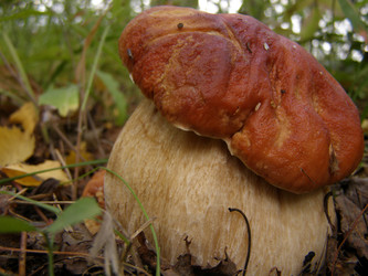 Similar image 273233