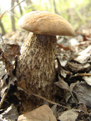 Similar image 273241