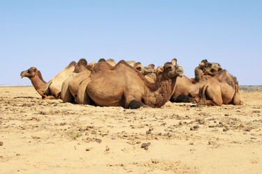 Similar image 273243