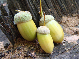 Similar image 273263