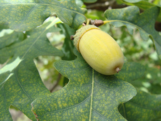 Similar image 273268