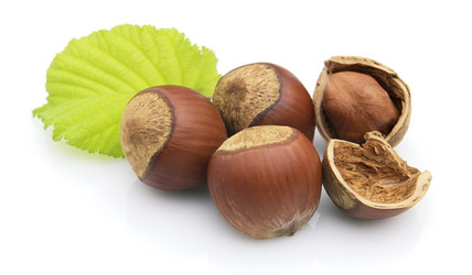 Similar image 273271