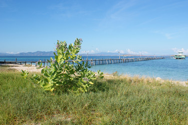 Similar image 273282