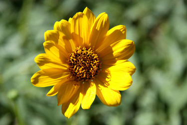 Similar image 273310