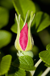 Similar image 273311