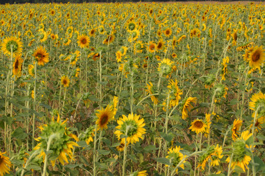 Similar image 273312