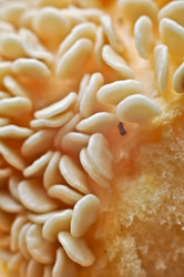 Similar image 273318