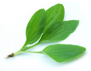 Similar image 273329