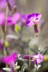 Similar image 273342