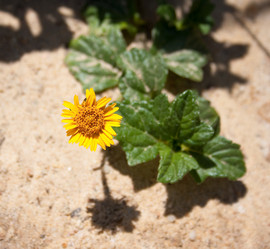 Similar image 273345