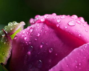 Similar image 273351