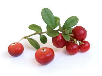 Similar image 273354